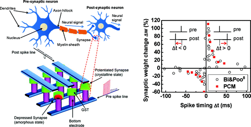 synapse-electronique,P-H-300293-3.gif